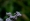 L版写真10,000枚を並べて作ったモザイクアート
