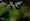 L版写真10,000枚を並べて作ったモザイクアート