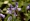 L版写真10,000枚を並べて作ったモザイクアート