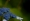 L版写真10,000枚を並べて作ったモザイクアート