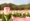 L版写真10,000枚を並べて作ったモザイクアート