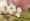 L版写真10,000枚を並べて作ったモザイクアート