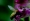 L版写真10,000枚を並べて作ったモザイクアート