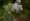 L版写真10,000枚を並べて作ったモザイクアート