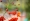 L版写真10,000枚を並べて作ったモザイクアート