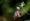 L版写真10,000枚を並べて作ったモザイクアート
