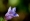 L版写真10,000枚を並べて作ったモザイクアート