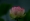 L版写真10,000枚を並べて作ったモザイクアート
