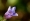 L版写真10,000枚を並べて作ったモザイクアート