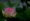 L版写真10,000枚を並べて作ったモザイクアート