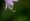 L版写真10,000枚を並べて作ったモザイクアート