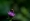 L版写真10,000枚を並べて作ったモザイクアート