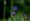 L版写真10,000枚を並べて作ったモザイクアート