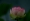 L版写真10,000枚を並べて作ったモザイクアート