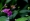 L版写真10,000枚を並べて作ったモザイクアート