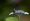 L版写真10,000枚を並べて作ったモザイクアート