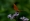 L版写真10,000枚を並べて作ったモザイクアート