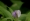 L版写真10,000枚を並べて作ったモザイクアート
