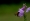 L版写真10,000枚を並べて作ったモザイクアート