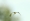 L版写真10,000枚を並べて作ったモザイクアート