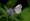 L版写真10,000枚を並べて作ったモザイクアート