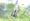 L版写真10,000枚を並べて作ったモザイクアート
