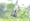 L版写真10,000枚を並べて作ったモザイクアート