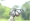 L版写真10,000枚を並べて作ったモザイクアート