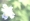 L版写真10,000枚を並べて作ったモザイクアート
