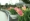 L版写真10,000枚を並べて作ったモザイクアート