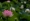 L版写真10,000枚を並べて作ったモザイクアート