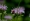 L版写真10,000枚を並べて作ったモザイクアート