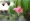 L版写真10,000枚を並べて作ったモザイクアート