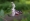 L版写真10,000枚を並べて作ったモザイクアート