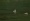 L版写真10,000枚を並べて作ったモザイクアート