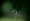 L版写真10,000枚を並べて作ったモザイクアート