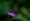 L版写真10,000枚を並べて作ったモザイクアート