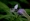 L版写真10,000枚を並べて作ったモザイクアート