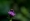 L版写真10,000枚を並べて作ったモザイクアート