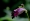 L版写真10,000枚を並べて作ったモザイクアート
