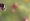 L版写真10,000枚を並べて作ったモザイクアート