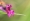 L版写真10,000枚を並べて作ったモザイクアート