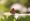 L版写真10,000枚を並べて作ったモザイクアート