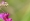L版写真10,000枚を並べて作ったモザイクアート