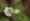 L版写真10,000枚を並べて作ったモザイクアート