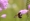 L版写真10,000枚を並べて作ったモザイクアート