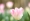 L版写真10,000枚を並べて作ったモザイクアート