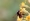 L版写真10,000枚を並べて作ったモザイクアート