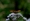 L版写真10,000枚を並べて作ったモザイクアート