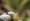 L版写真10,000枚を並べて作ったモザイクアート